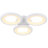 Светильник потолочный FREYA Blis FR6010CL-L51W