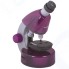 Микроскоп Levenhuk LabZZ MV1 Amethyst + книга (77622)