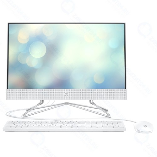 Моноблок HP 22-df0019ur (14P58EA)