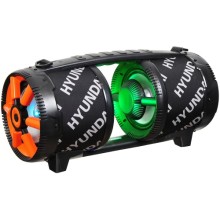 Музыкальный центр Hyundai H-MAC220 Музыкальный центр Hyundai H-MAC220