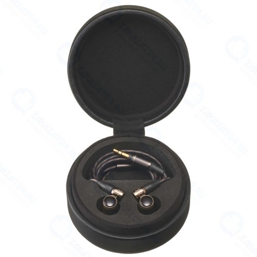 Наушники JVC HA-FW10000-F