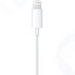 Наушники с микрофоном Apple EarPods with Lightning Connector (MMTN2ZM/A)