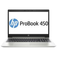 Ноутбук HP ProBook 450 G7 (2D345ES)