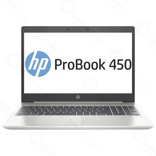 Ноутбук HP ProBook 450 G7 (2D345ES)