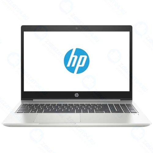 Ноутбук HP ProBook 455 G6 (7DD87EA)