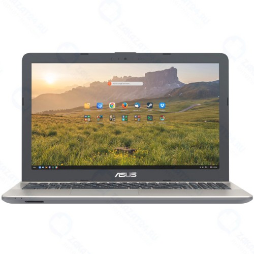 Ноутбук ASUS D541NA-GQ316