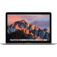 Ноутбук Apple MacBook 12 Core i7 1,4/16/512 SSD SG (Z0TY0002T)