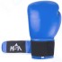 Перчатки боксерские KSA Wolf, 12oz, кожа Blue (УТ-00017831)