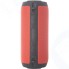 Портативная колонка Denn DBS IPX402