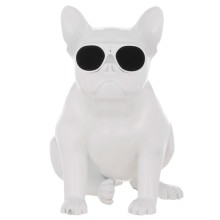 Портативная колонка JARRE AeroBull XS1 Glossy White (ML-06020-20-03)