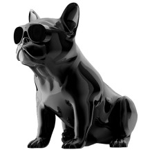 Портативная колонка AEROSYSTEM AeroBull HD1 Chrome Black (ML-06031-02-03) Портативная колонка AEROSYSTEM AeroBull HD1 Chrome Black (ML-06031-02-03)