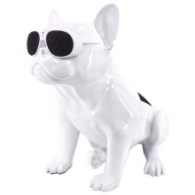 Портативная колонка AEROSYSTEM AeroBull HD1 Glossy White (ML-06031-20-03) Портативная колонка AEROSYSTEM AeroBull HD1 Glossy White (ML-06031-20-03)