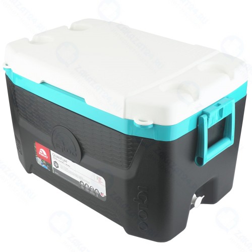 Изотермический контейнер Igloo 00049650