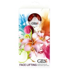 Прибор для чистки и массажа лица Gess Face Lifting (GESS-661)