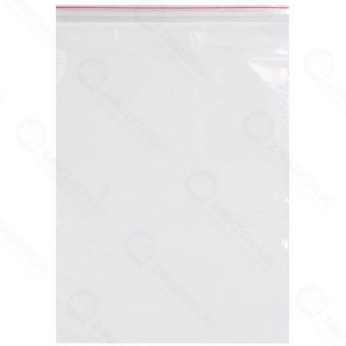 Пакеты Brauberg с замком зиплок, 400х500 мм, 100 шт (606219)