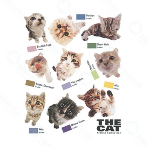 Наклейка IDESIGN CAT 751L