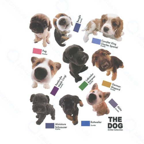 Наклейка IDESIGN DOG 750L