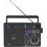 Радио Ritmix RPR-222 (15118564)