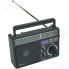 Радио Ritmix RPR-222 (15118564)