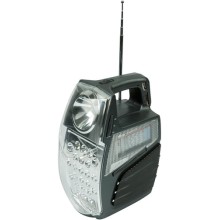 Радио Ritmix RPR-555 (15118565)