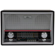 Радио Ritmix RPR-101 Black