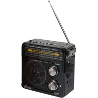 Радио Ritmix RPR-202 Black