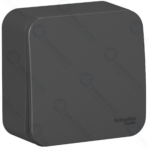 Переключатель Schneider Electric BLNVA106016 Blanca