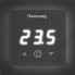 Терморегулятор THERMO Thermoreg TI-300 Black