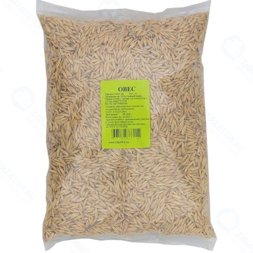 Семена ЗДОРОВЫЙ-САД Овес, 1 кг (4607160333014)