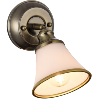 Спот FREYA Jasinta FR2272-WL-01-BS