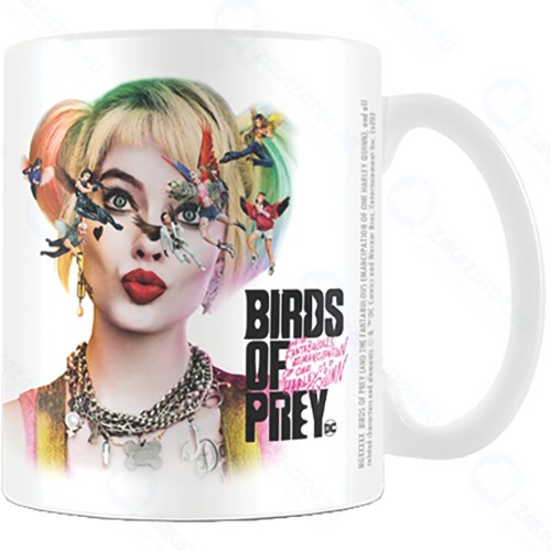 Кружка Pyramid Birds Of Prey (Seeing Stars) Coffee Mug (MG25855)