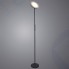 Торшер Arte Lamp Sceptrum (A1822PN-1BK)