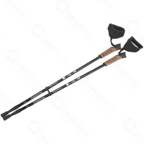 Палки для скандинавской ходьбы Bradex SF 0264 