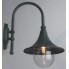 Светильник уличный Arte Lamp Malaga (A1082AL-1BG)