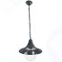 Светильник уличный Arte Lamp Malaga (A1085SO-1BG)