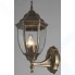 Светильник уличный Arte Lamp Pegasus (A3151AL-1BN)