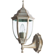 Светильник уличный Arte Lamp Pegasus (A3151AL-1WG)