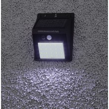 Фасадный светильник ЭРА на солнечной батарее (ERAFS064-04)