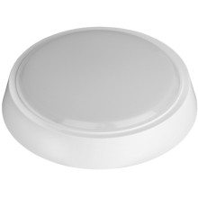 Уличный светодиодный светильник ЭРА SPB-3-05-4K