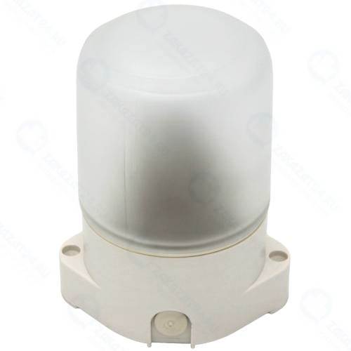 Светильник для ЖКХ ЭРА НББ 01-60-001