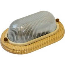 Светильник настенно-потолочный ЭРА НБО 04-60-011