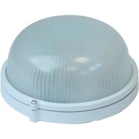 Светильник настенно-потолочный ЭРА НБП 03-100-001