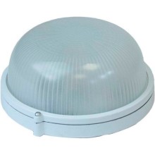 Светильник настенно-потолочный ЭРА НБП 03-100-001