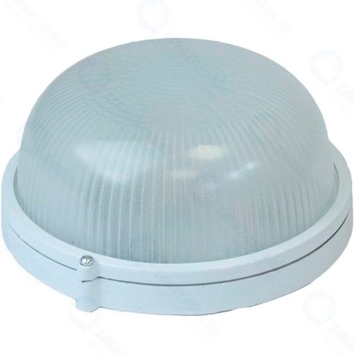 Светильник настенно-потолочный ЭРА НБП 03-100-001