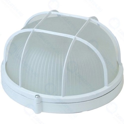 Светильник настенно-потолочный ЭРА НБП 03-60-002