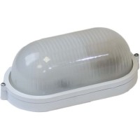 Светильник настенно-потолочный ЭРА НБП 04-100-001