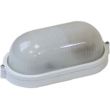 Светильник настенно-потолочный ЭРА НБП 04-100-001