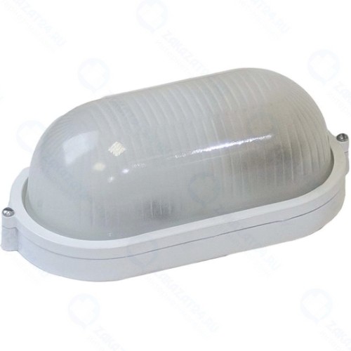 Светильник для ЖКХ ЭРА НБП 04-100-001