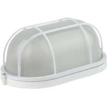 Светильник настенно-потолочный ЭРА НБП 04-100-002