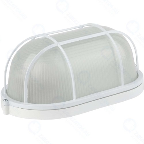 Светильник настенно-потолочный ЭРА НБП 04-100-002